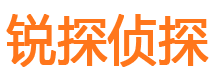 凤城市私家侦探